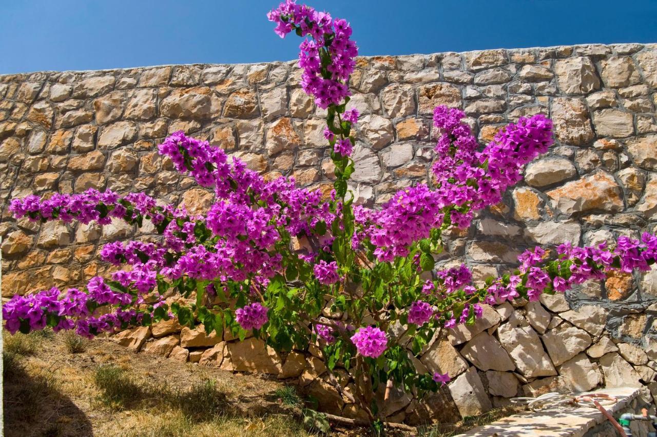 Holiday Home Duje Trogir Zewnętrze zdjęcie