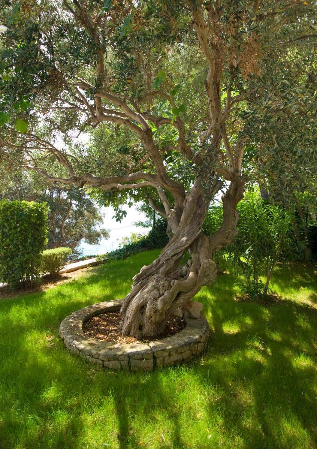 Holiday Home Duje Trogir Zewnętrze zdjęcie