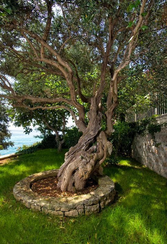 Holiday Home Duje Trogir Zewnętrze zdjęcie